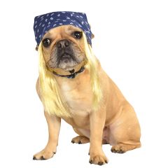 Blue Biker Pet Bandanna